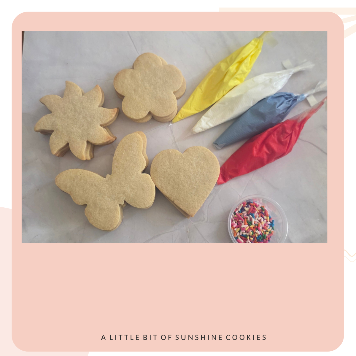 Cookie Decorating Kit — Everyday Sugar Cookie Kit for Beginners