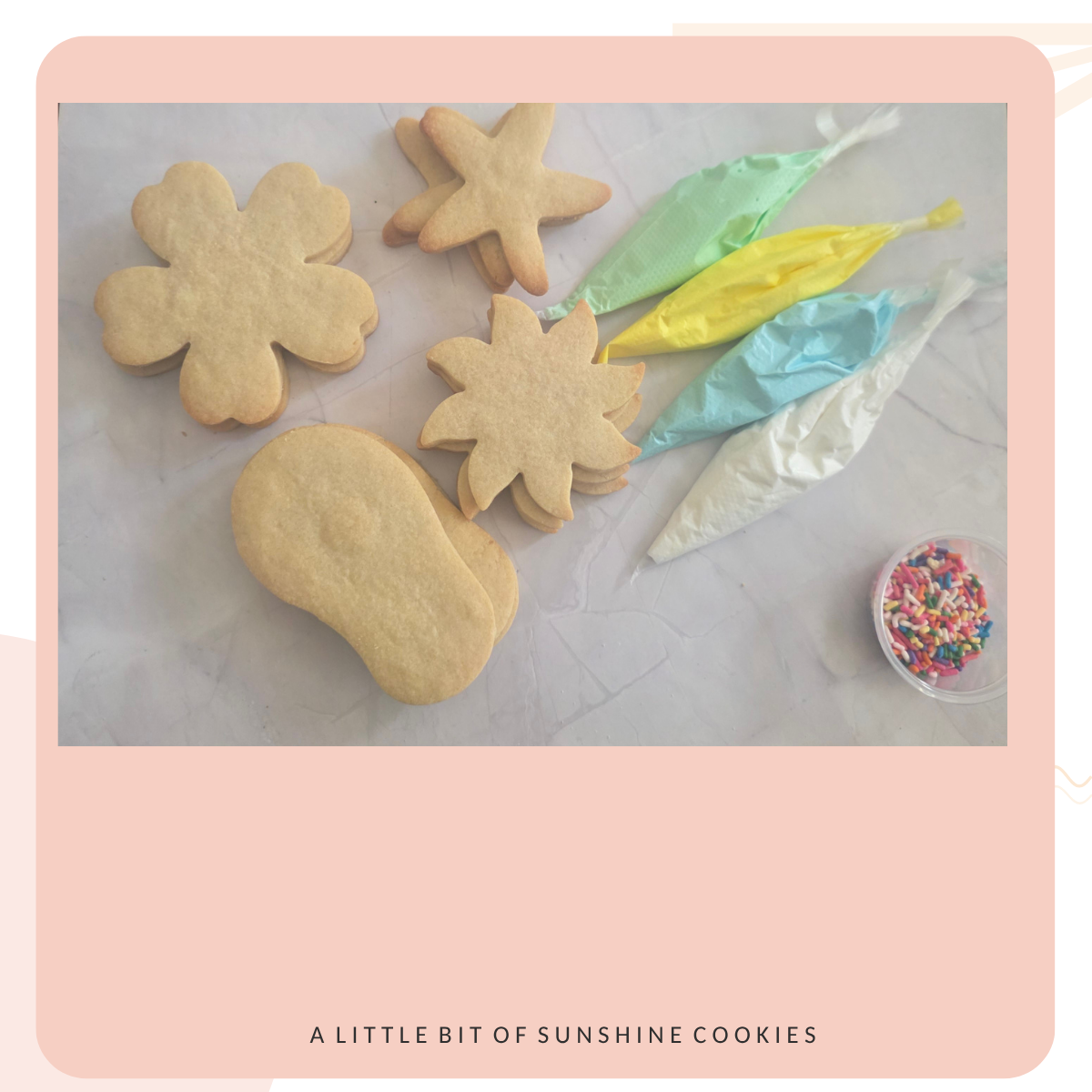 Summer Cookie Decorating Kit — Decorate Sugar Cookies at Home